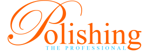 Polishing The Professional Logo